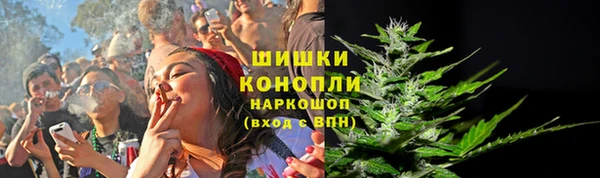 молекула духа Белокуриха