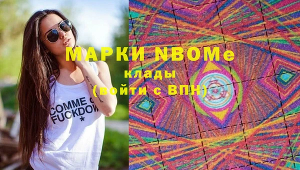 apvp Богородск