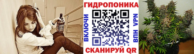 Канабис ГИДРОПОН  Томилино 